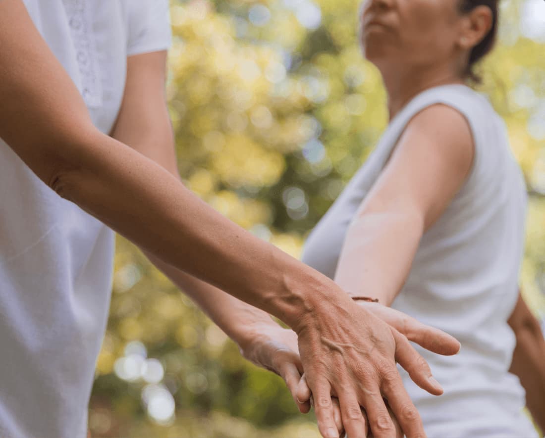 Individualni Casovi Pocetna